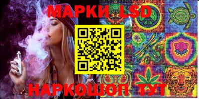 spice Обнинск
