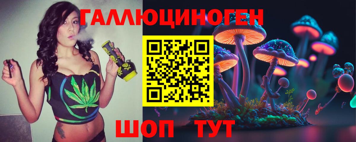 Галлюциногенные грибы прущие грибы Тамбов