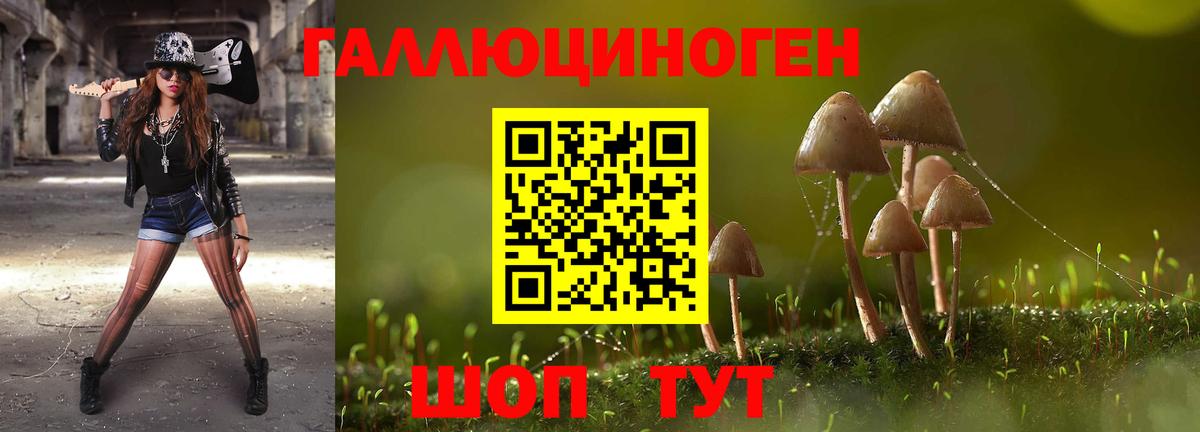 Тамбов  Галлюциногенные грибы Psilocybe  Вход с VPN  Псилоцибиновые грибы MAGIC MUSHROOMS 