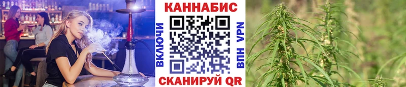 Бошки Шишки семена  Купить закладки  Тамбов 