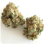 Шишки "White Widow"  (Белая вдова)  Гидропоника -  Бошка VHQ в Тамбове