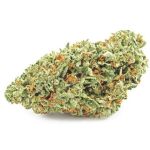 Шишки OG Kush  (Гидропоника, бошки) VHQ в Тамбове